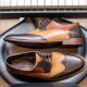 Derby tricolor Tempest t moro
